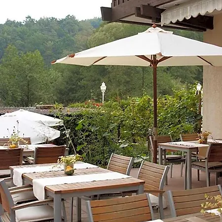 Restaurant Paradeismuehle Klingenberg am Main