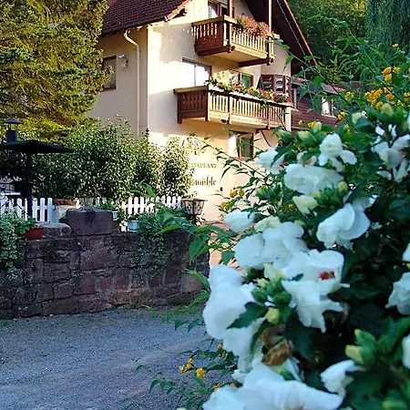 Hotel Restaurant Paradeismuehle 3*
