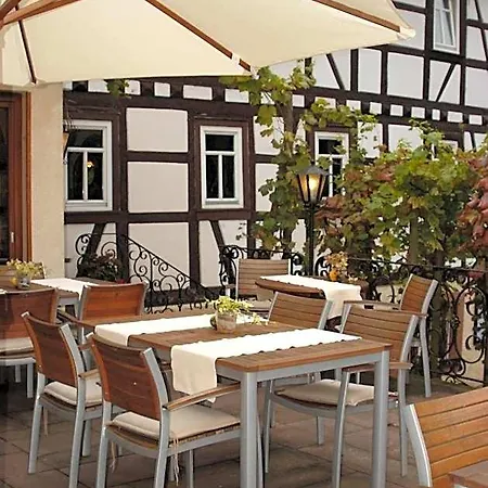 Restaurant Paradeismuehle 3* Klingenberg am Main