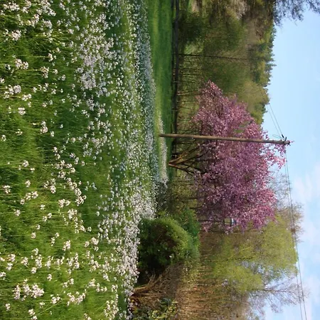 Restaurant Paradeismuehle Hotel 3*