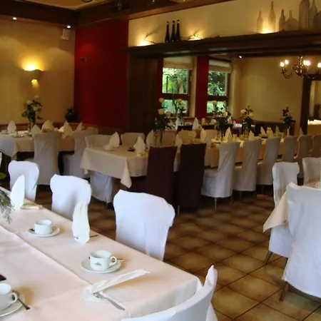 Hotel Restaurant Paradeismühle 3*