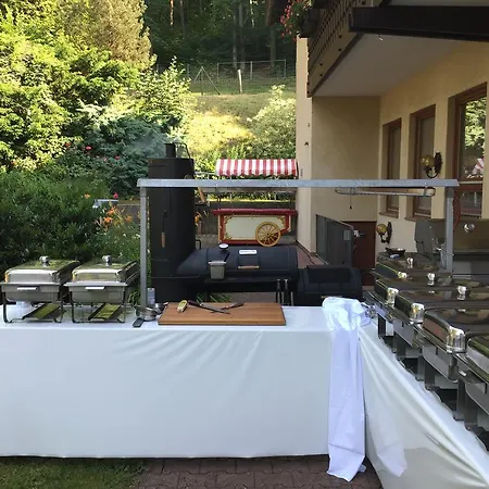 Hotel Restaurant Paradeismühle Klingenberg am Main